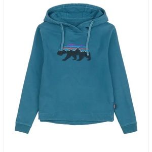 Patagonia Hoodie Fitz Roy Bear Collection